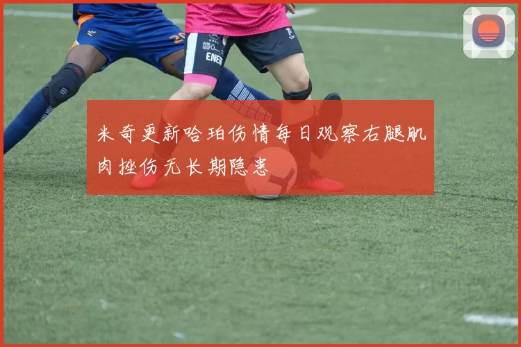 米奇更新哈珀伤情每日观察右腿肌肉挫伤无长期隐患