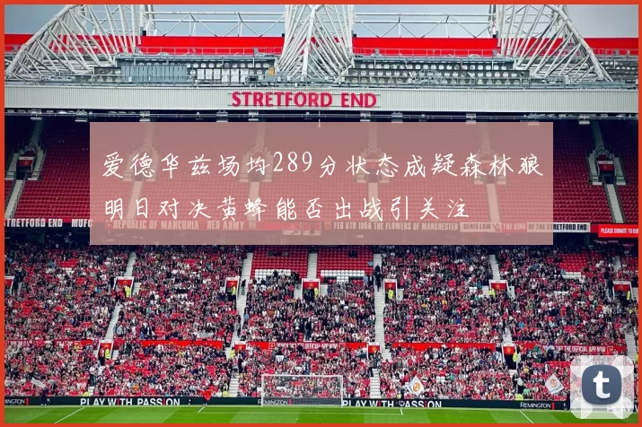 爱德华兹场均289分状态成疑森林狼明日对决黄蜂能否出战引关注
